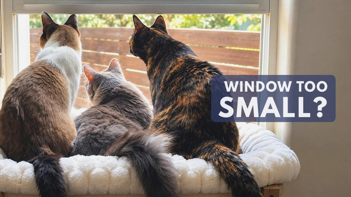 Cat Window Perch